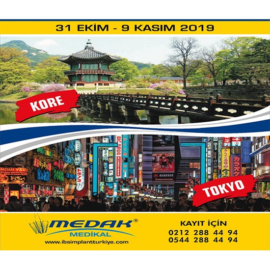 2019 31 Ekim - 9 Kasım Kore - Tokyo